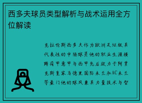 西多夫球员类型解析与战术运用全方位解读 西多夫球员类型解析与战术运用全方位解读