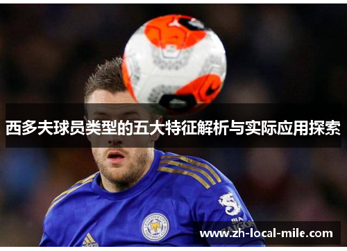 西多夫球员类型的五大特征解析与实际应用探索 西多夫球员类型的五大特征解析与实际应用探索